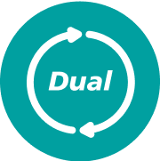 Dual Icon